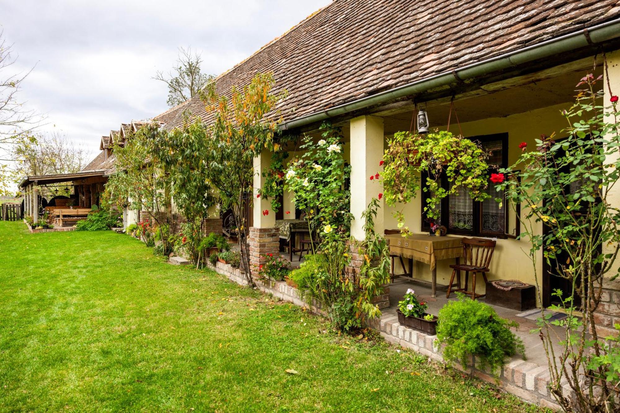 Snasini Kucari Bed and Breakfast Gradiste Εξωτερικό φωτογραφία