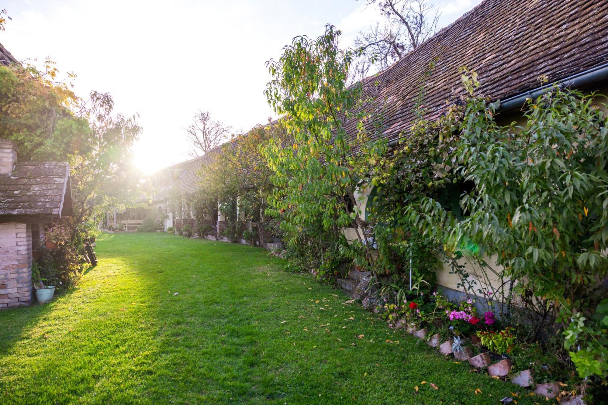 Snasini Kucari Bed and Breakfast Gradiste Εξωτερικό φωτογραφία